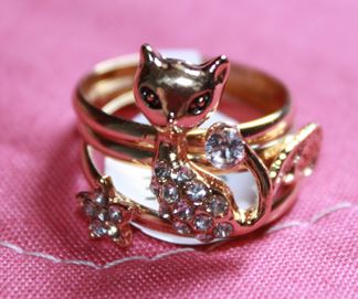 Gatinho